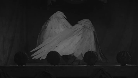 Tereza Haze wings
